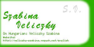 szabina veliczky business card